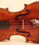 Lovely 250 Years Old French Violin N.  Lupot Geige Violon Violino Violine Viola String photo 3
