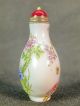 Fine Chinese Flower Dragonfly Hand Painted Peking Enamel Glass Snuff Bottle Snuff Bottles photo 5