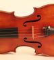 Finest Old Master 4/4 Violin L.  Aschauer 1951 Geige Violon Violino Violine Viola String photo 3