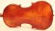 Finest Old Master 4/4 Violin L.  Aschauer 1951 Geige Violon Violino Violine Viola String photo 6