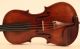Gorgeous Old Antique Italian Violin Tecchler 1723 Geige Violon Violino Violine String photo 2