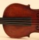 Gorgeous Old Antique Italian Violin Tecchler 1723 Geige Violon Violino Violine String photo 3