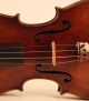 Gorgeous Old Antique Italian Violin Tecchler 1723 Geige Violon Violino Violine String photo 4