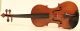 Genova? Old Rare Italian Violin C.  Candi 1934 Geige Violon Violino Violine Viola String photo 1