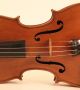 Genova? Old Rare Italian Violin C.  Candi 1934 Geige Violon Violino Violine Viola String photo 3