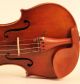Gorgeous Old Antique Italian Violin Pressenda 1831 Geige Violon Violino Violine String photo 4