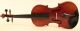 Solo Gun Old Italian Violin A.  Pollastri 1910 Geige Violon Violino Violine Viola String photo 2