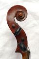 Very Old And Antique Violin String photo 5