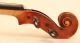 Old Italian Violin Postiglione 1875 Geige Violon Violino Violine Viola String photo 9