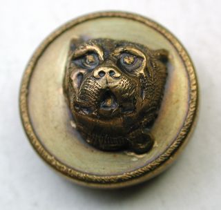 Antique Brass Button Dimensional Pug Dog Face Design photo