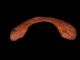 Very Rare Huge Roman Period Iron Horse Shoe,  Well Preserved, Roman photo 2