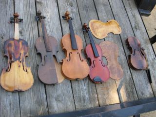 Violins And Fixer - Uppers 4/4 And 1/2 Size photo