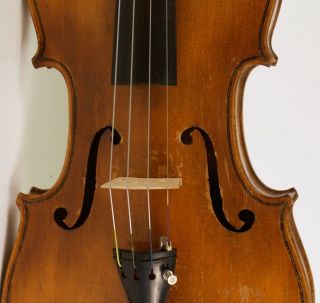 Old Violin Labeled G.  Pistucci 1888 Geige Violon Violino Violine Viola photo