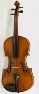 Old Violin Labeled G.  Pistucci 1888 Geige Violon Violino Violine Viola String photo 1