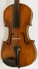 Old Violin Labeled G.  Pistucci 1888 Geige Violon Violino Violine Viola String photo 2