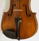 Old Violin Labeled G.  Pistucci 1888 Geige Violon Violino Violine Viola String photo 3