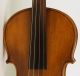 Old Violin Labeled G.  Pistucci 1888 Geige Violon Violino Violine Viola String photo 4
