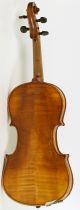 Old Violin Labeled G.  Pistucci 1888 Geige Violon Violino Violine Viola String photo 5