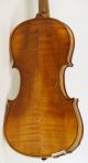 Old Violin Labeled G.  Pistucci 1888 Geige Violon Violino Violine Viola String photo 6
