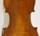 Old Violin Labeled G.  Pistucci 1888 Geige Violon Violino Violine Viola String photo 7
