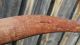 Old Aboriginal Boomerang - Surface Find - Found In The Desert In The 1950 ' S Pacific Islands & Oceania photo 1