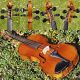 Fine Antique Czech Violin - Josef Kliment,  Brno.  Tone. String photo 10