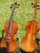 Fine Antique Czech Violin - Josef Kliment,  Brno.  Tone. String photo 11