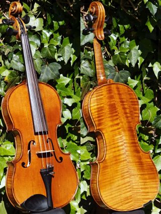 Fine Antique Czech Violin - Josef Kliment,  Brno.  Tone. photo