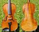 Fine Antique Czech Violin - Josef Kliment,  Brno.  Tone. String photo 1