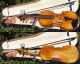 Fine Antique Czech Violin - Josef Kliment,  Brno.  Tone. String photo 4