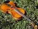 Fine Antique Czech Violin - Josef Kliment,  Brno.  Tone. String photo 5