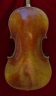 Antique German Kurt Monnig Markneukirchen Cello Wm.  Moennig & Son String photo 8