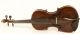 Old Fine Master Violin Labeled Pacherel 1836 Geige Violon Violino Violine Fiddle String photo 1