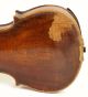 Old Fine Master Violin Labeled Pacherel 1836 Geige Violon Violino Violine Fiddle String photo 7