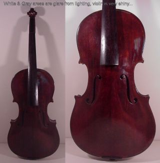 Estate Fresh Nikolaus Amati (copy Of) 4/4 Violin Made In Germany Antique photo