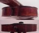 Estate Fresh Nikolaus Amati (copy Of) 4/4 Violin Made In Germany Antique String photo 7