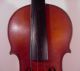 Estate Fresh Antonio Loveri (maker) 4/4 Violin & Haberline Bow Made In Germany String photo 2