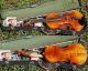 Good Vintage Czech Violin By Jan Basta,  Schonbach.  Solid Build,  Good Sound. String photo 10