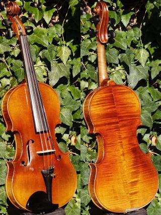 Good Vintage Czech Violin By Jan Basta,  Schonbach.  Solid Build,  Good Sound. photo