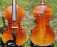 Good Vintage Czech Violin By Jan Basta,  Schonbach.  Solid Build,  Good Sound. String photo 1