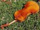 Good Vintage Czech Violin By Jan Basta,  Schonbach.  Solid Build,  Good Sound. String photo 5