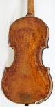 Stunning Old Italian Violin P.  A.  Costa 1840 Geige Violon Viola Violine Violino String photo 4