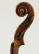 Stunning Old Italian Violin P.  A.  Costa 1840 Geige Violon Viola Violine Violino String photo 6