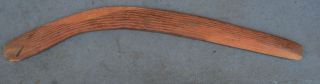 Classic Old Aboriginal Fluted Hunting Boomerang photo