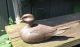 Vintage Half Size Hand Carved Relief Wood Wooden Duck Decoy Folk Art Carving Primitives photo 5