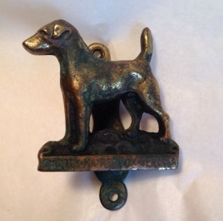 Antique Smooth Haired Terrier Dog Solid Brass Figural Doorknocker England photo