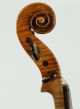 Astonishing Old Violin A.  Pollastri Geige Violon Violine Violino Viola Cond String photo 9