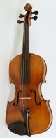Astonishing Old Violin A.  Pollastri Geige Violon Violine Violino Viola Cond String photo 1