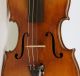 Astonishing Old Violin A.  Pollastri Geige Violon Violine Violino Viola Cond String photo 3