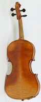 Astonishing Old Violin A.  Pollastri Geige Violon Violine Violino Viola Cond String photo 4